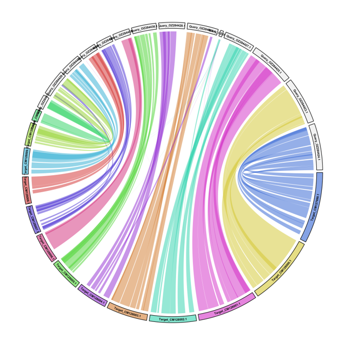 Comparative genomics visualization